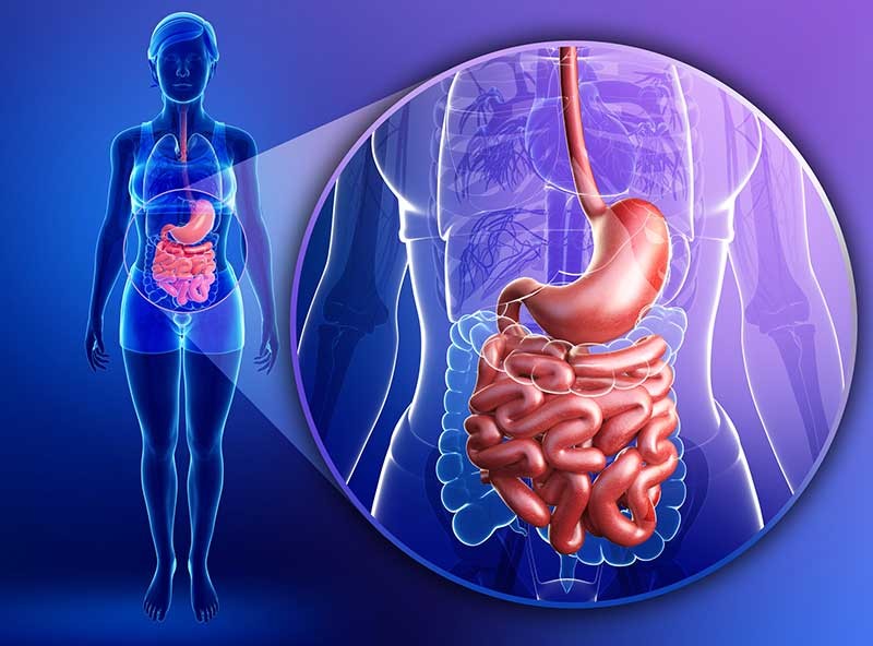 Abdominal Examination 